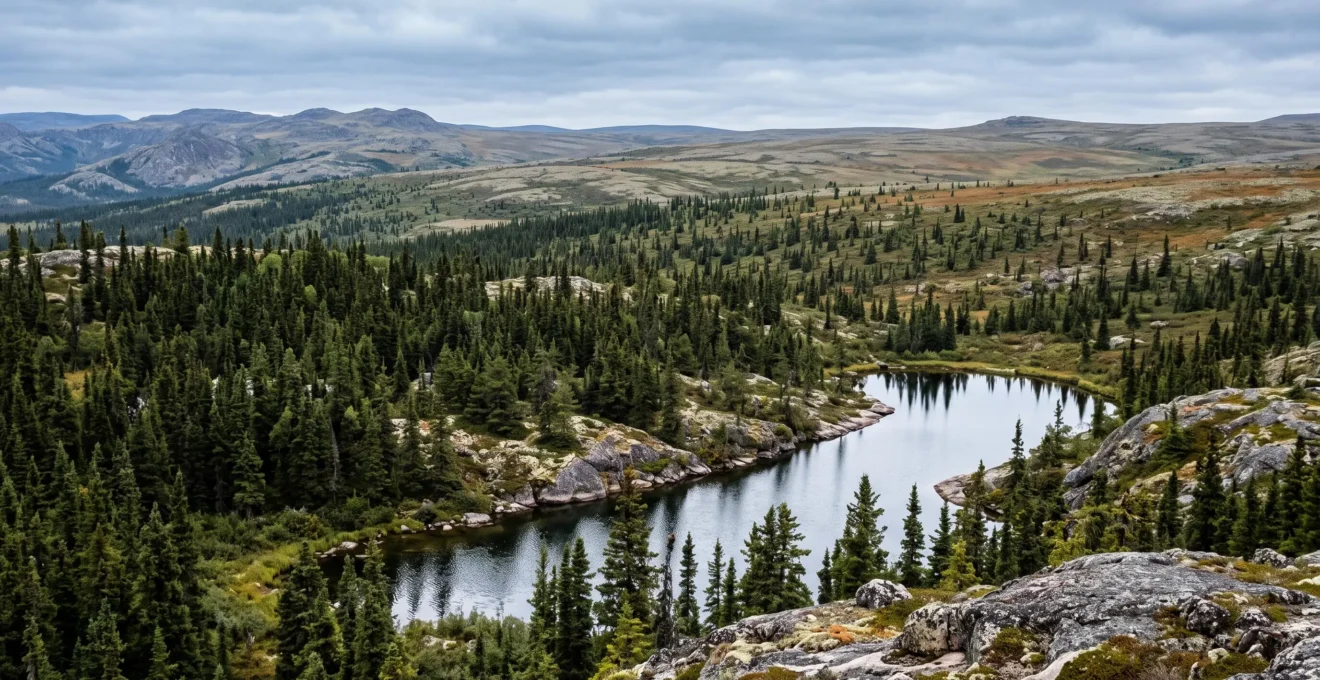 Panorama canadien montrant la transition d'une forêt boréale de conifères vers une toundra ouverte au-delà de la limite des arbres.